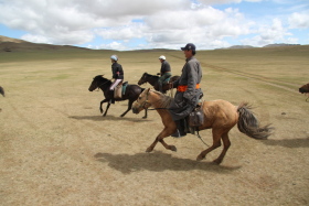 Photos de notre randonnée équestre confort sous la yourte en Mongolie : Khustai et les chevaux de Przewalski, Khogno Khan, le Mini Gobi, la Vallée de l'Orkhon, le lac d'Ogii, Karakorum... (Randocheval / Absolu Voyages)