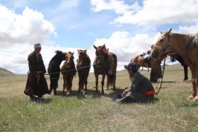 Photos de notre randonnée équestre confort sous la yourte en Mongolie : Khustai et les chevaux de Przewalski, Khogno Khan, le Mini Gobi, la Vallée de l'Orkhon, le lac d'Ogii, Karakorum... (Randocheval / Absolu Voyages)