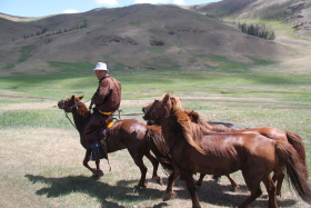 Photos de notre randonnée équestre confort sous la yourte en Mongolie : Khustai et les chevaux de Przewalski, Khogno Khan, le Mini Gobi, la Vallée de l'Orkhon, le lac d'Ogii, Karakorum... (Randocheval / Absolu Voyages)