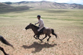 Photos de notre randonnée équestre confort sous la yourte en Mongolie : Khustai et les chevaux de Przewalski, Khogno Khan, le Mini Gobi, la Vallée de l'Orkhon, le lac d'Ogii, Karakorum... (Randocheval / Absolu Voyages)