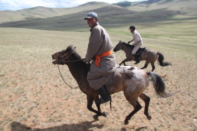 Photos de notre randonnée équestre confort sous la yourte en Mongolie : Khustai et les chevaux de Przewalski, Khogno Khan, le Mini Gobi, la Vallée de l'Orkhon, le lac d'Ogii, Karakorum... (Randocheval / Absolu Voyages)