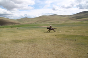 Photos de notre randonnée équestre confort sous la yourte en Mongolie : Khustai et les chevaux de Przewalski, Khogno Khan, le Mini Gobi, la Vallée de l'Orkhon, le lac d'Ogii, Karakorum... (Randocheval / Absolu Voyages)