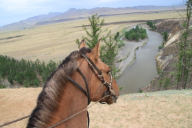 Photos de notre randonnée équestre confort sous la yourte en Mongolie : Khustai et les chevaux de Przewalski, Khogno Khan, le Mini Gobi, la Vallée de l'Orkhon, le lac d'Ogii, Karakorum... (Randocheval / Absolu Voyages)