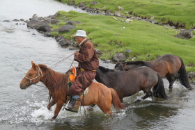 Photos de notre randonnée équestre confort sous la yourte en Mongolie : Khustai et les chevaux de Przewalski, Khogno Khan, le Mini Gobi, la Vallée de l'Orkhon, le lac d'Ogii, Karakorum... (Randocheval / Absolu Voyages)