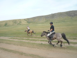 Photos de notre randonnée équestre confort sous la yourte en Mongolie : Khustai et les chevaux de Przewalski, Khogno Khan, le Mini Gobi, la Vallée de l'Orkhon, le lac d'Ogii, Karakorum... (Randocheval / Absolu Voyages)