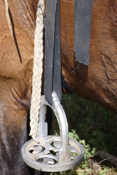 Photos de notre randonnée équestre confort sous la yourte en Mongolie : Khustai et les chevaux de Przewalski, Khogno Khan, le Mini Gobi, la Vallée de l'Orkhon, le lac d'Ogii, Karakorum... (Randocheval / Absolu Voyages)