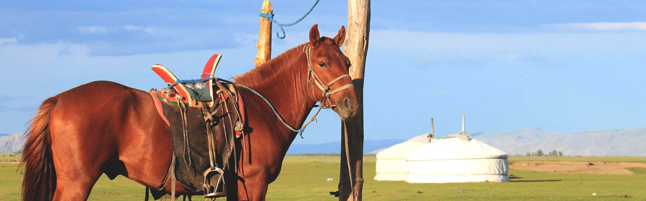 Rando Cheval - Voyage à cheval en Mongolie