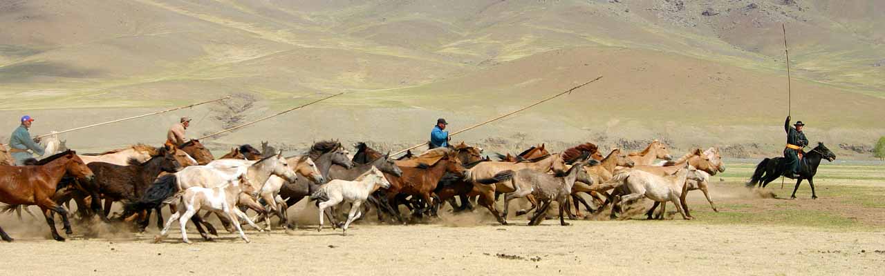 Voyage Rando Cheval aux fêtes de Naadam en Mongolie