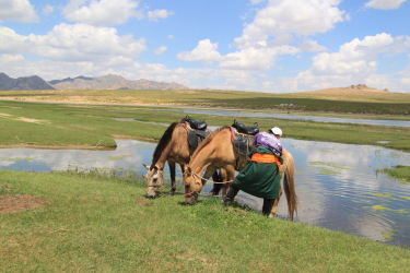 Voyage à cheval à la rencontre des nomades de Mongolie - Par Randocheval