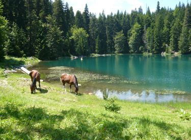 Voyage à cheval au MONTENEGRO - Randonnée équestre organisée par Randocheval