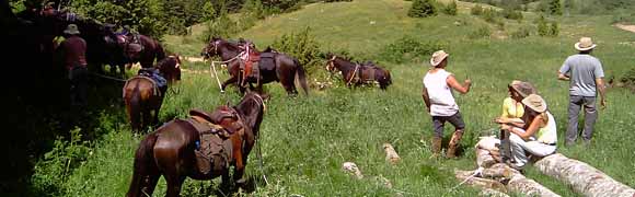 Voyage à cheval au MONTENEGRO - Randonnée équestre organisée par Randocheval