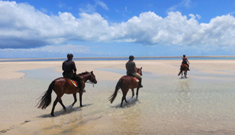 Randonnée équestre en Australie - RANDOCHEVAL 