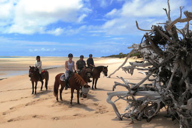 Voyage à cheval au Mozambique - Randonnée équestre organisée par Randocheval