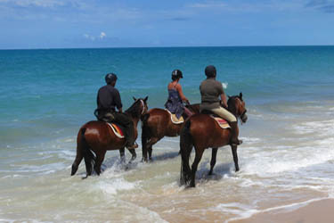 Voyage à cheval au Mozambique - Randonnée équestre organisée par Randocheval