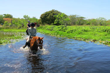 Voyage à cheval au Mozambique - Randonnée équestre organisée par Randocheval