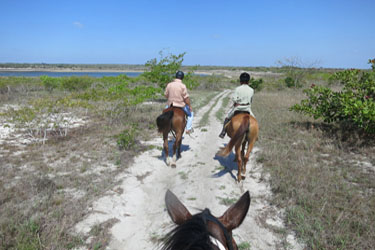 Voyage à cheval au Mozambique - Randonnée équestre organisée par Randocheval