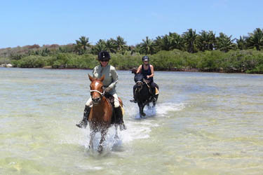 Voyage à cheval au Mozambique - Randonnée équestre organisée par Randocheval