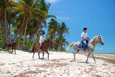 Voyage à cheval au Mozambique - Randonnée équestre organisée par Randocheval