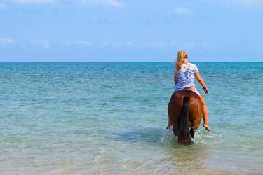 Voyage à cheval au Mozambique - Randonnée équestre organisée par Randocheval