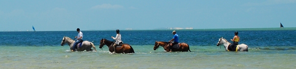 Voyage à cheval au Mozambique - Randonnée équestre organisée par Randocheval