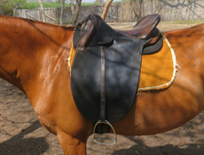 Voyage à cheval au Mozambique - Randonnée équestre organisée par Randocheval