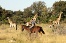 Voyage à cheval au Mozambique - Randonnée équestre organisée par Randocheval