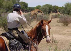 Randonnées à cheval en Namibie - Afrique - sur des purs-sangs Arabes