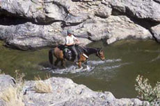 Randonnées à cheval en Namibie sur des purs-sangs Arabes