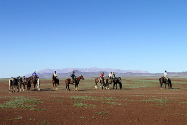 Rando Cheval - Voyage à cheval