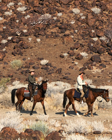 Namibie - Safari éléphants du Damaraland - RANDO CHEVAL