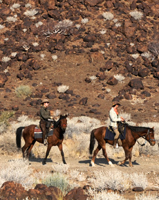 Namibie - Safari éléphants du Damaraland - RANDO CHEVAL