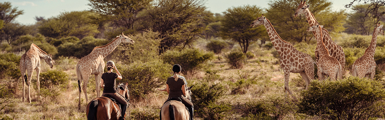 Voyage à cheval - Randonnée équestre organisée par Randocheval