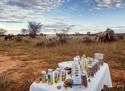 NAMIBIE - Safari &agrave; cheval dans une r&eacute;serve priv&eacute;e - RANDO CHEVAL