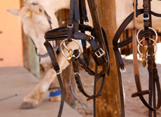 NAMIBIE - Safari à cheval dans une réserve privée - RANDO CHEVAL