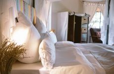 NAMIBIE - Safari &agrave; cheval dans une r&eacute;serve priv&eacute;e - RANDO CHEVAL