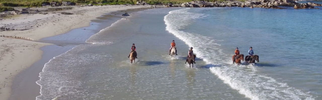 Rando Cheval - Voyage à cheval en Mongolie
