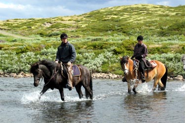 Rando Cheval - Voyage à cheval
