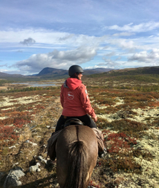 Randonnée équestre à Dovrefjell en Norvège - Randocheval