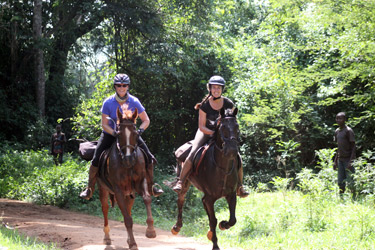 Voyage à cheval - Randonnée équestre organisée par Randocheval