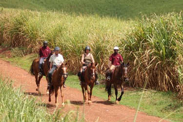 Voyage à cheval - Randonnée équestre organisée par Randocheval