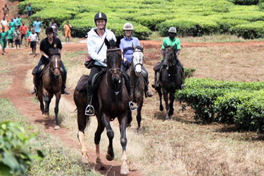 Voyage à cheval - Randonnée équestre organisée par Randocheval