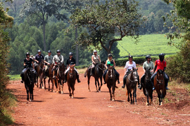 Voyage à cheval - Randonnée équestre organisée par Randocheval