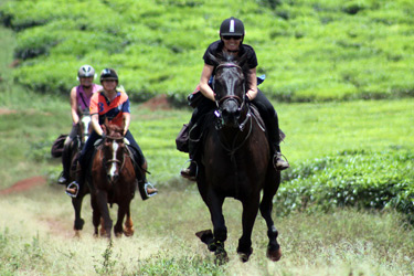 Voyage à cheval - Randonnée équestre organisée par Randocheval