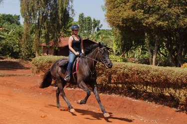 Voyage à cheval - Randonnée équestre organisée par Randocheval