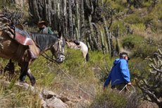 Rando Cheval au Pérou - Voyage à cheval