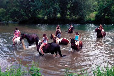 randonnée à cheval poitou - randonnée ado - randocheval/absolu voyage