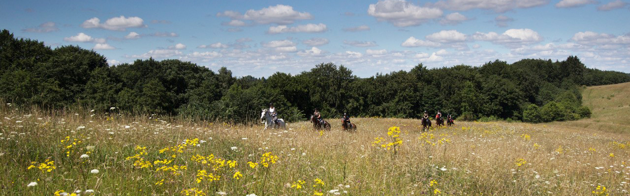 Voyage à cheval - Randonnée équestre organisée par Randocheval