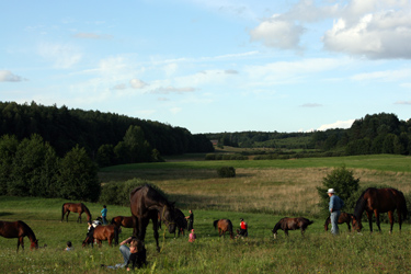 Rando Cheval - Voyage à cheval