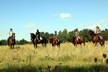 Rando Cheval - Voyage à cheval