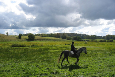 Rando Cheval - Voyage à cheval